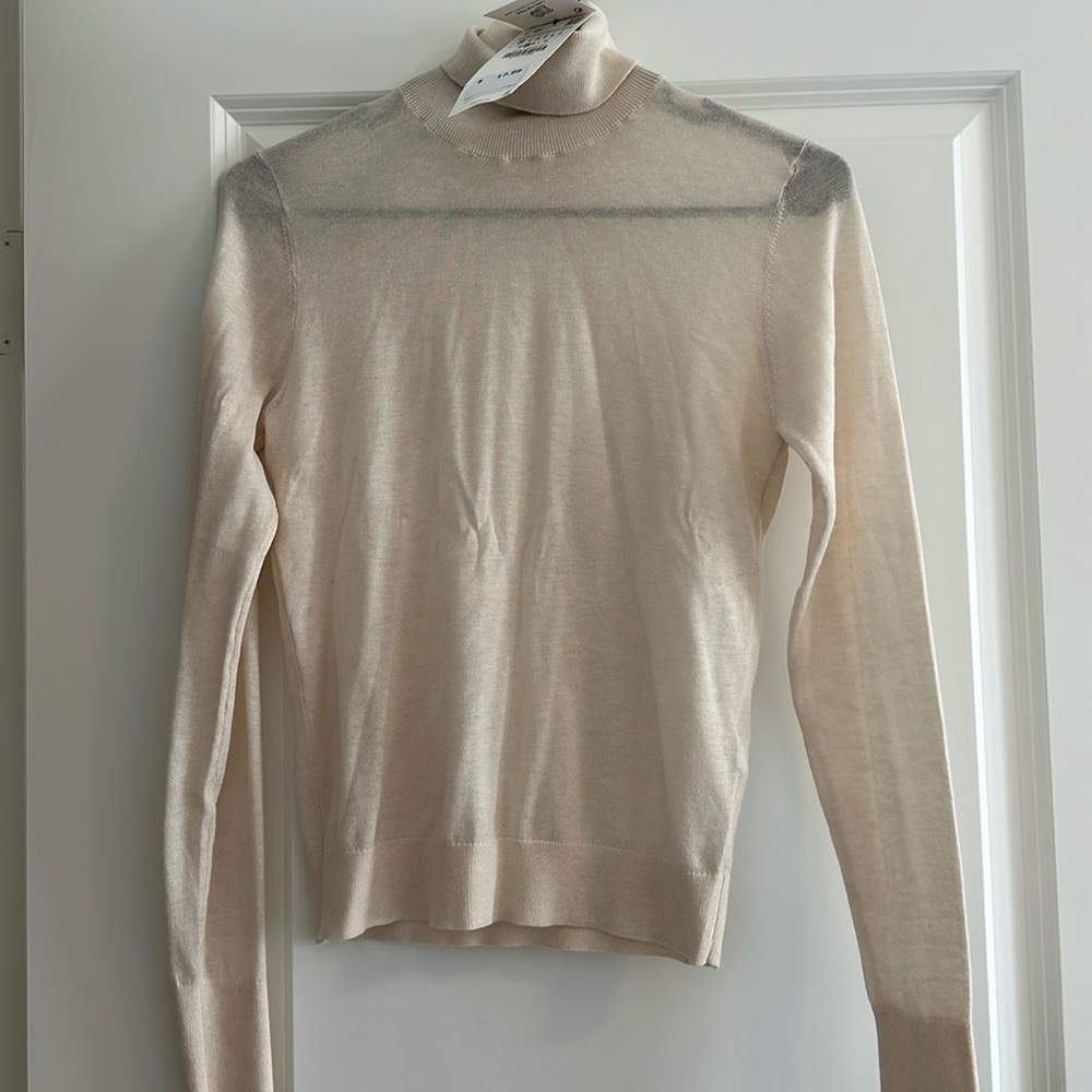 NWT Zara sheer turtleneck.